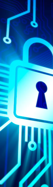 bazaar ceramics web site - security image